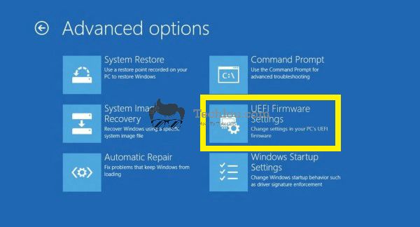 Enter UEFI Firmware Options